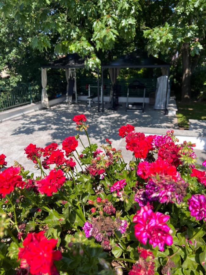 Villa Albina Rzym Zewnętrze zdjęcie